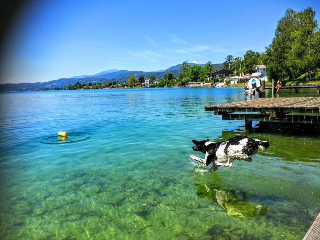 Appartements Allmaier Portschach am Woerthersee Ngoại thất bức ảnh